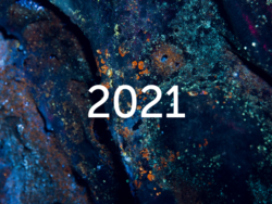 Logo of Progress report 2021